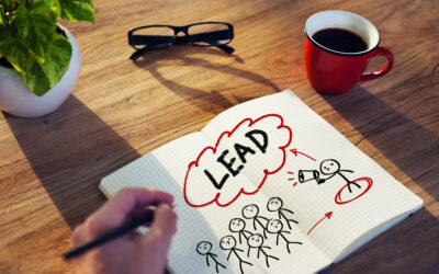 What is a lead management?